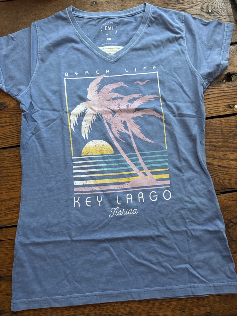 Blue Graphic Tee with Pastel Palm Design